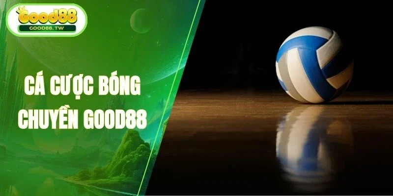 Đánh giá trực quan về cá cược bóng chuyền Good88