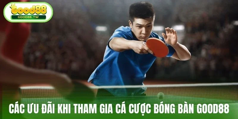 Các ưu đãi khi tham gia cá cược bóng bàn Good88