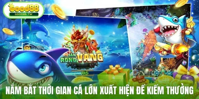 Nắm bắt thời gian cá lớn xuất hiện để kiếm thưởng