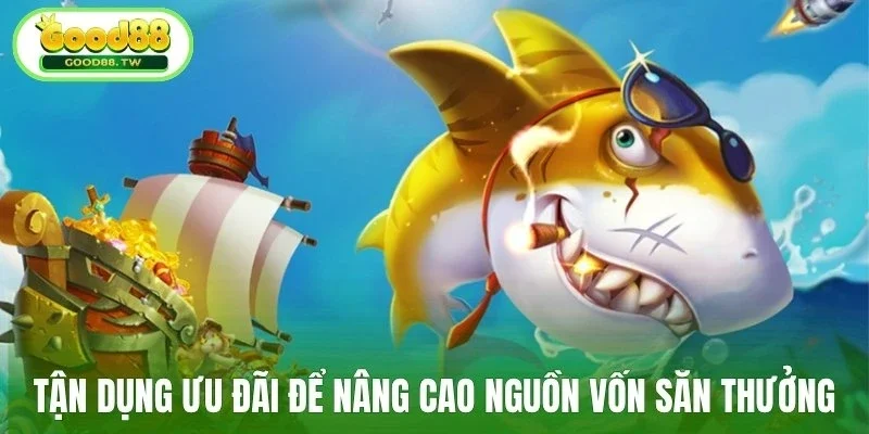 Tận dụng ưu đãi để nâng cao nguồn vốn săn thưởng